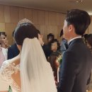 살롱드비체 이미지