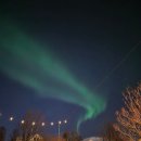 채식요리(주간) | 🇳🇴[노르웨이/트롬소] 4일차 : 눈썰매 타기, 사미 주간, 오로라 투어(노드리스 한인 투어)