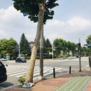 가든조류원 이미지