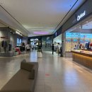 도그시티 이미지