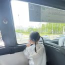 주공11단지(아) 경로당 | 🌸 불암산 철쭉제 2025 후기 – 아이와 함께한 봄날의 추억
