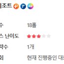 알프스 스크린골프존 이미지