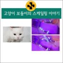 장산동물병원 이미지