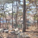 21C 공인중개사사무소 이미지