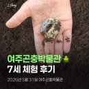 여주박물관 | 🐞 7세 아이와 여주곤충박물관 후기｜장수풍뎅이 애벌레 분양부터 금붕어 낚시까지!
