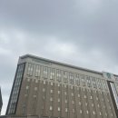 [티파니앤코] 삿포로 다이마루 백화점 1837 반지 내돈내산 구매 후기