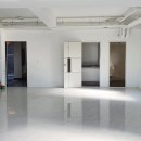 동일리-10 이미지