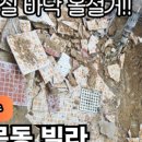 면목동-235 이미지