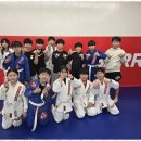 튼튼합기도 이미지