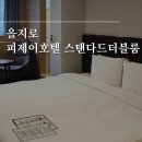 호텔 피제이 명동 | 을지로/명동 피제이호텔 PJ호텔 스탠다드 더블룸 후기