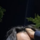 역전할머니 맥주 서울일원점 이미지