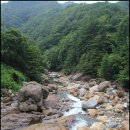 대원사계곡 이미지