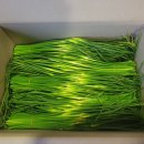 천혜향 한라봉 진지향 마늘쫑 이미지