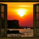 팡팡과일 이미지