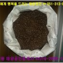 주례현대무지개상가 이미지