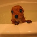 종각한의원 이미지