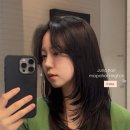 해링턴헤어