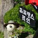 강촌프로방스 이미지