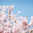 연필라테스 - 성남시 분당구 불정로 258 | 연필라테스