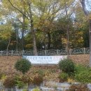 충렬사 입구 | 양산 물금 산책 춘추공원 충렬사 주차장 구름다리 한적하고 탁 트인 자연경관이 좋았던 곳