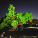 도동유교문화관1 이미지