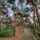 26년6월 백산 산악회 정기산행안내 이미지