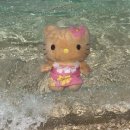 [Okinawa] Snoopy Surf Shop / 소품샵 / 오키나와식 이자카야 / PO 샌드위치