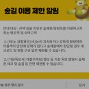 한국산림복지진흥원국립춘천숲체원 | 겨울의 횡성 여행: 가성비 끝판왕 힐링 '국립 횡성 숲체원' 숙박 후기