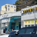 개화-꽃의 노래 | 거제장사도 유람선 장사도배편 및 동백꽃 개화 현황