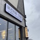 애견카페 제니콩콩 이미지