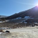 카페디어 고한사북점 | [정선 사북 여행] 1편. 넌커피 / 물닭갈비 / 장가네곱창전골