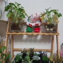 주식회사 호재 이미지