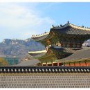 사화로-4 이미지