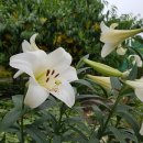 현자농장 이미지