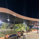 추무로 | 여자 혼자 우즈베키스탄 여행 4일차🇺🇿(타슈켄트 국제공항, 3국12박 여행경비)