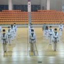 위너태권스쿨 이미지