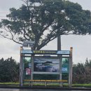 희진주유소 이미지