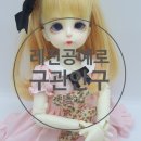 앨리스의다락방공예교습소 | 레진공예로 구관안구 만들기