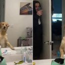 길 위의 시선 유기동물의 계절 이미지