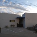 햄릿과 올리브 이미지