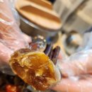 이순신밥상 | 여수갈치조림 맛집 여수여행 필수코스 이순신광장 밥집 시원이네 남도밥상