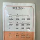 셀러블