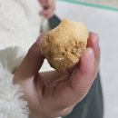 5674 | [화성/동탄] 강경딱딱 식감파의 이갈이템🤤 히어리브 줍먹템 party