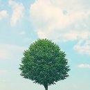 취업준비 (오피스 & 한글) 이미지