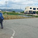 북영덕농협 영해지점 네이버블로그