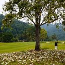 넥서스 골프연습장 이미지