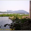 금호강 15번 Daum카페