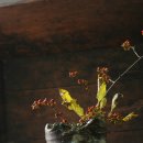 태성룡 겨울안부展 09.12.4(금)~31(목) 길상사 문화공간 지대방 이미지