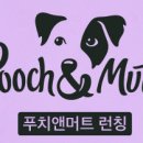 (주)케이덴탈 이미지