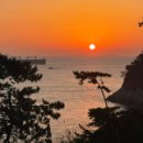 수제간식 만들기 이미지